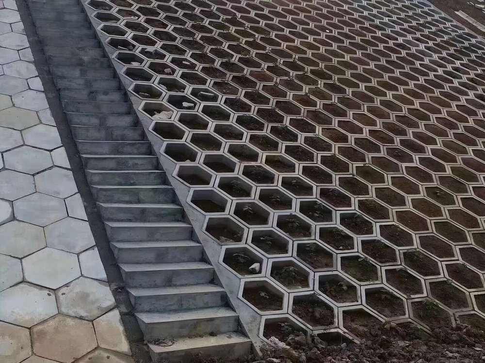 Grid Planting Grid Planting